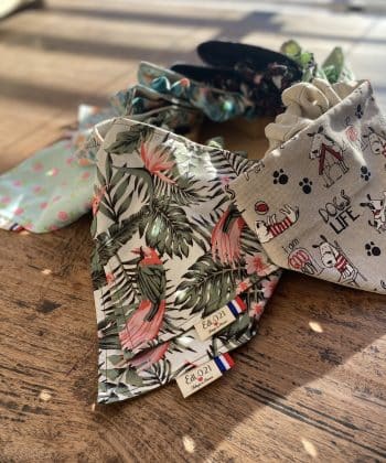 Bandanas Chiens Personnalisables