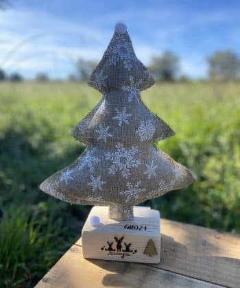 Sapin Lumineux